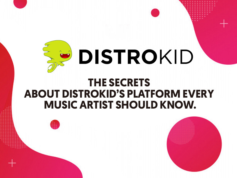 Everything You Need to Know About Extra DistroKid Services Part 2 | LSA