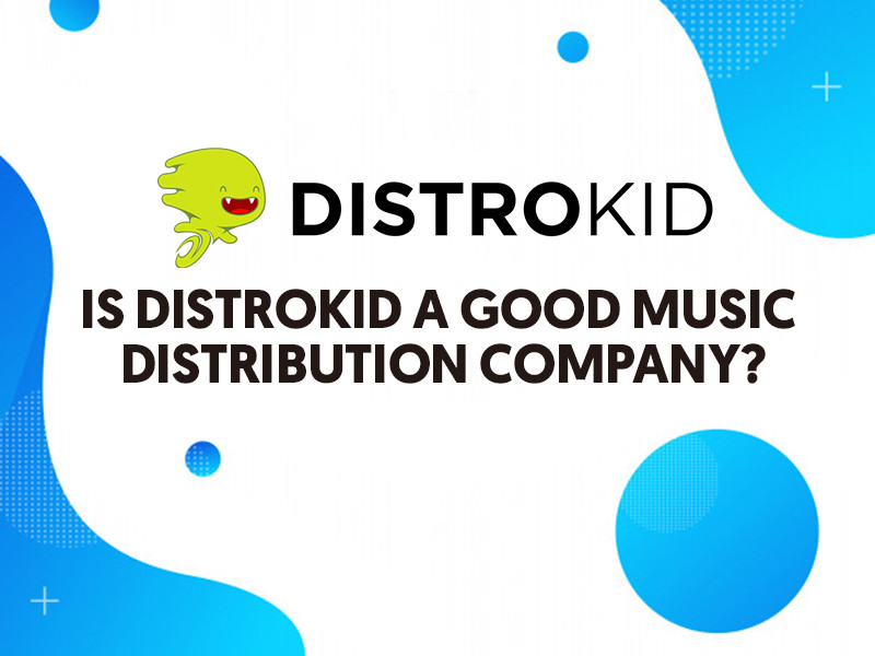 Is DistroKid a Good Music Distribution Company? | LSA